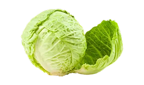 精选推荐 - 米乐
